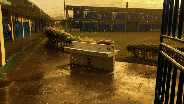 A science worksheet illustrating the water cycle with simple diagrams for young learners.