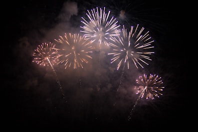 Bright fireworks burst in the night sky, creating colorful patterns with their sparkling displays. The pyrotechnics light up the darkness with vibrant streaks and explosive shapes.