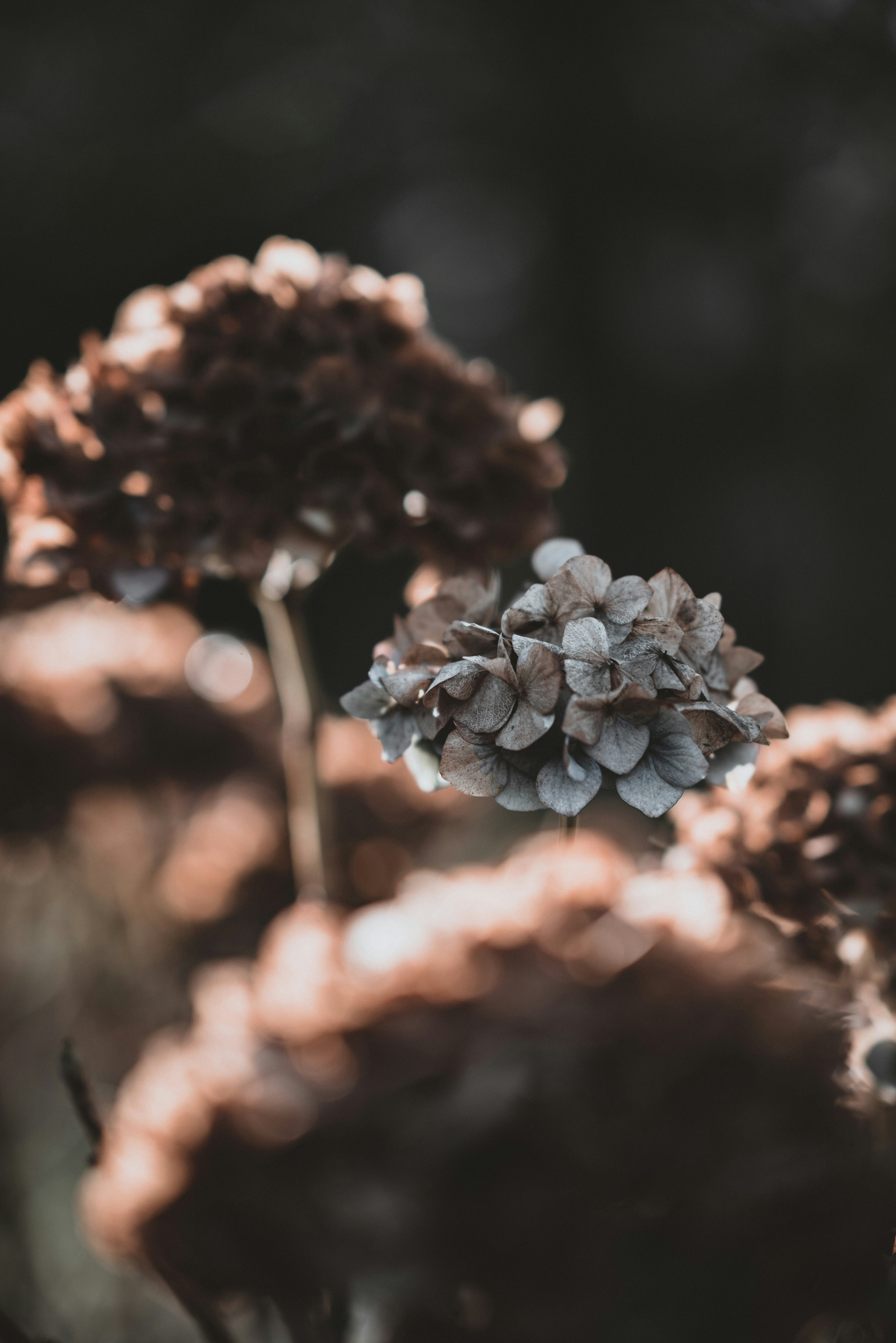 Photo by anniespratt