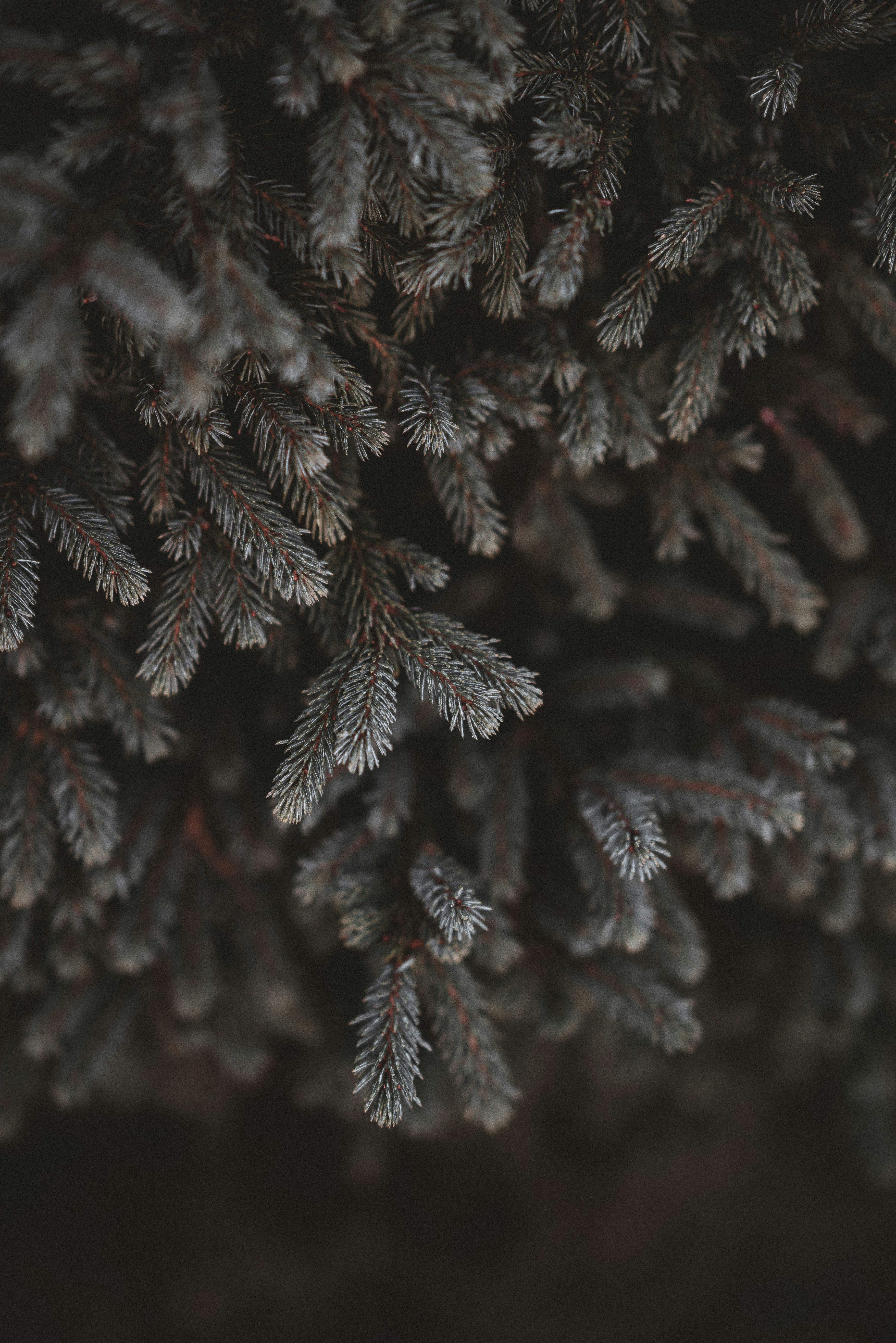 Photo by anniespratt