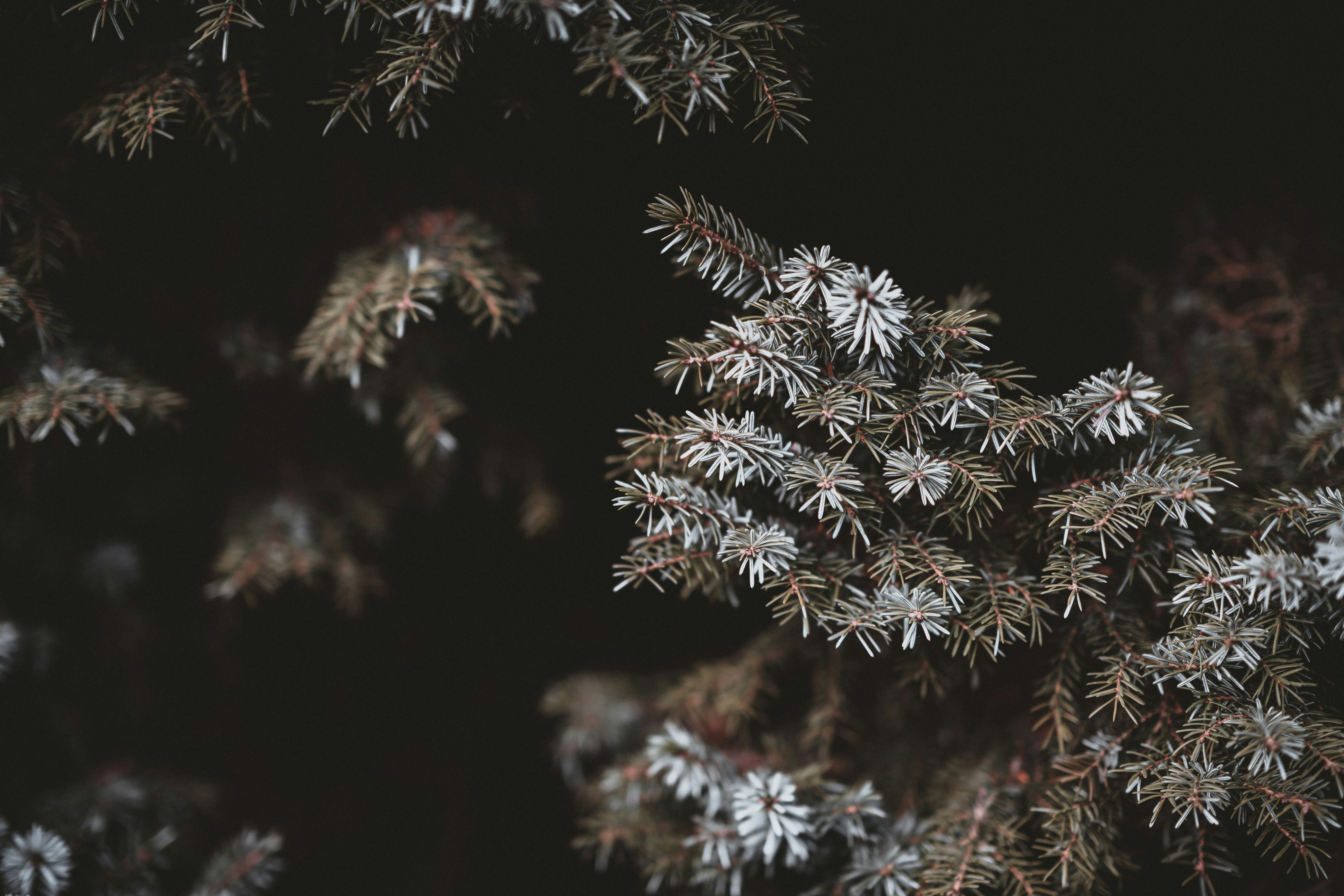 Photo by anniespratt