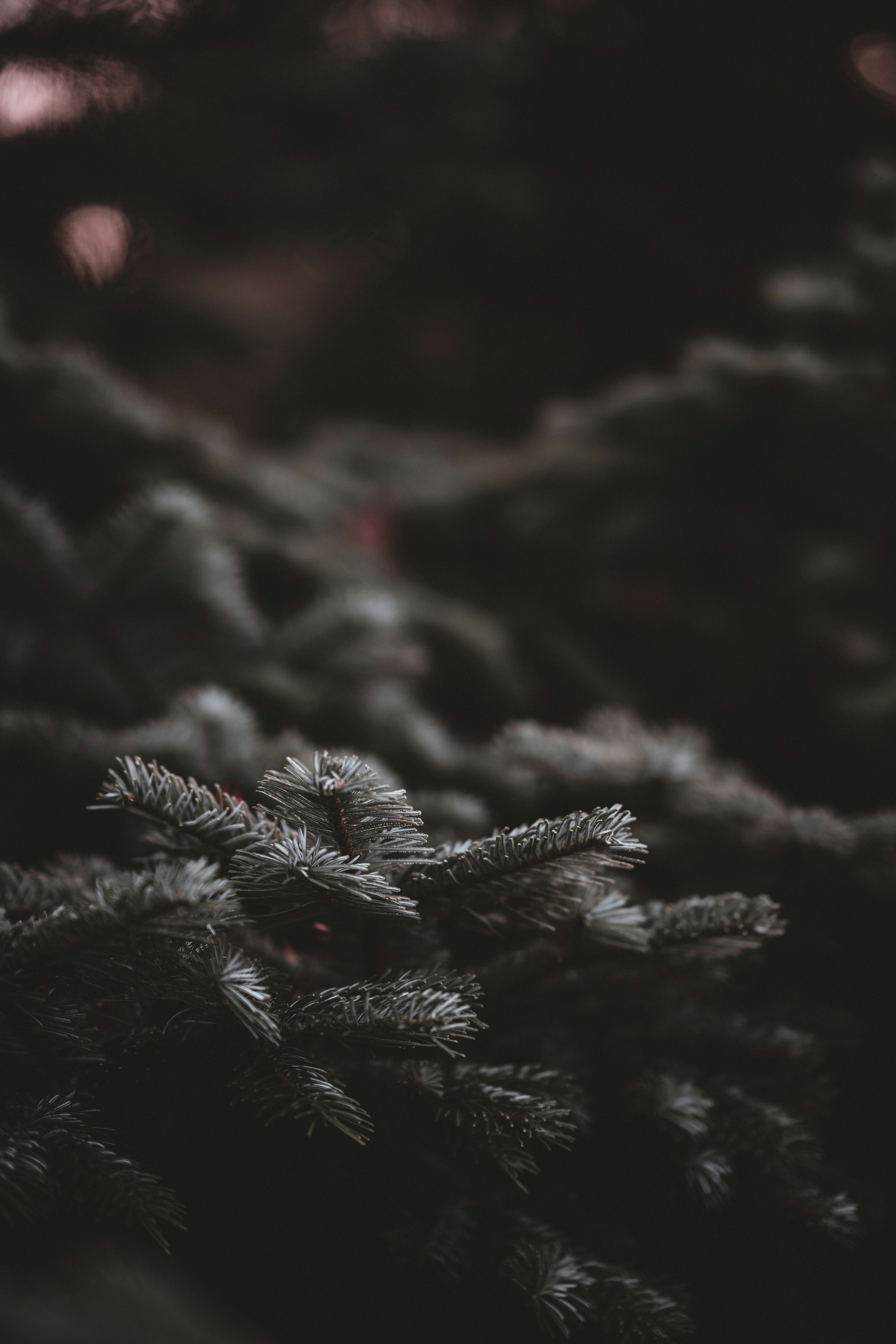 Photo by anniespratt