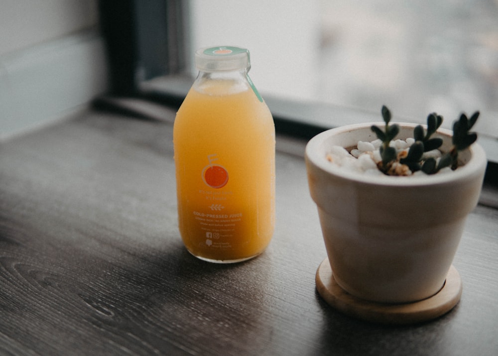 green potted plant beside orange labeled glass bottle