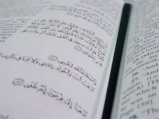 האורתוגרפיה (אותיות) הערבית וקריאה בקרב קוראים מיומנים