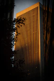 Elegant high-rise building facade illuminated with warm golden lights at dusk