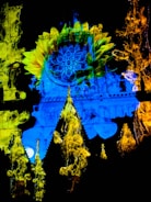 A vibrant image showcasing a beautiful project.