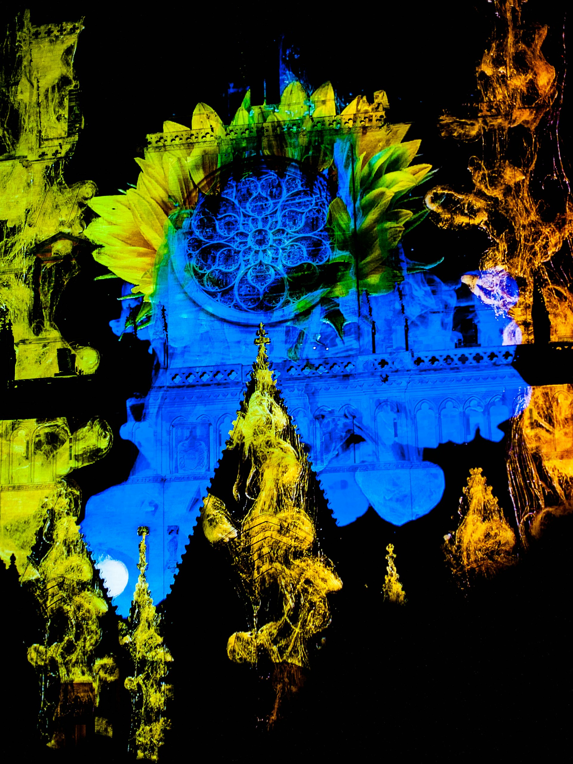 The image features a vibrant and colorful projection on a cathedral facade, with a prominent sunflower overlapping an intricate rose window design. The colors are vivid and blend together in a way that creates a mesmerizing effect. The architectural details of the building are partially visible, enhanced by the bright illumination.