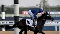 A jockey in a blue uniform rides a racehorse during a race, with the number 10 visible on the horse's harness. The background includes a racecourse with blurred spectators and palm trees.