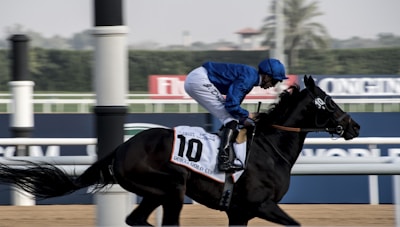 A jockey celebrating victory with arms raised as the horse crosses the finish line.