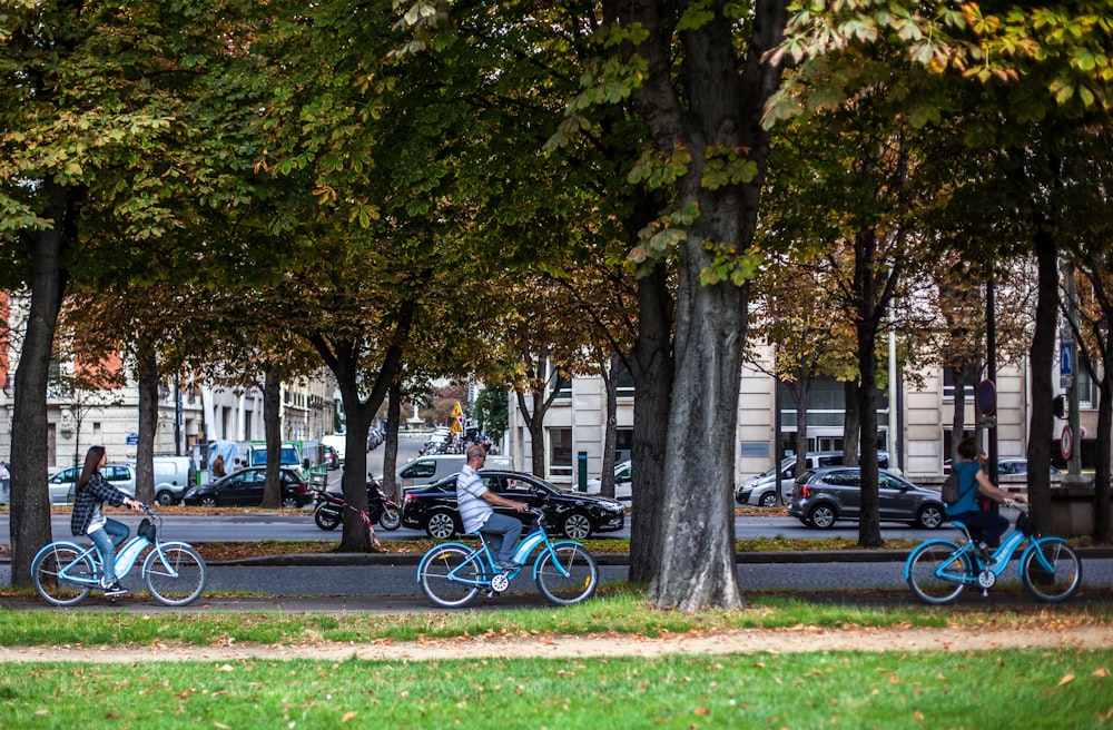 people riding bikes and vehicles near trees during day