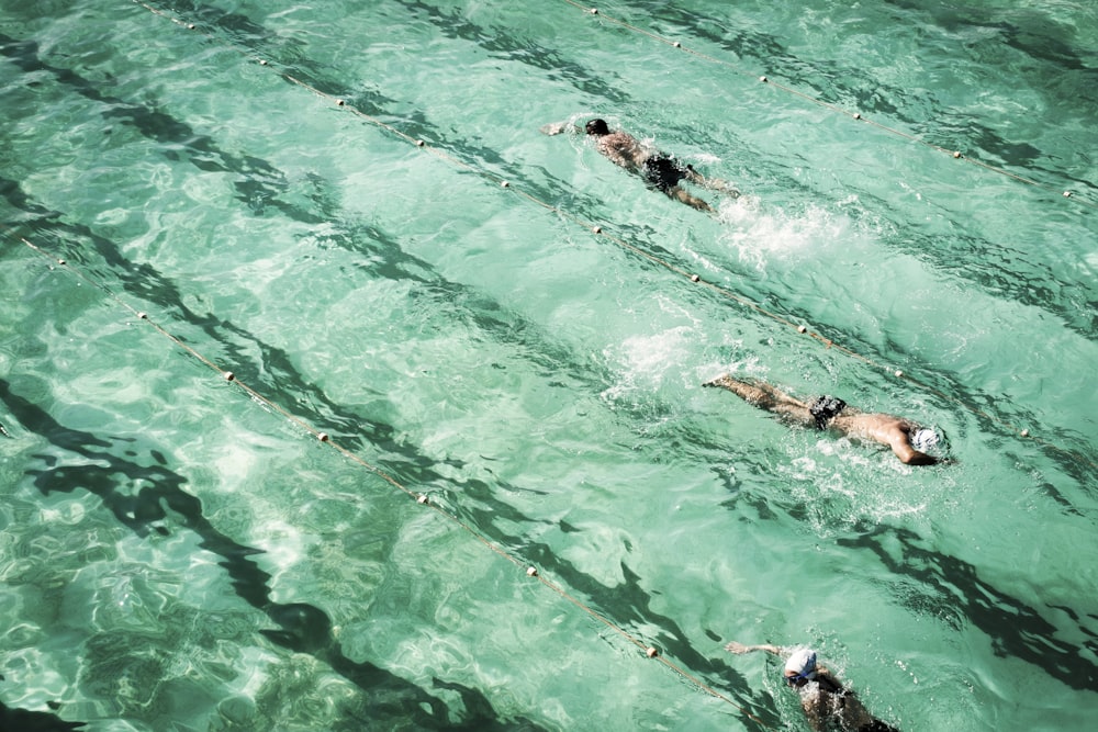 three men swimming in swimming pool