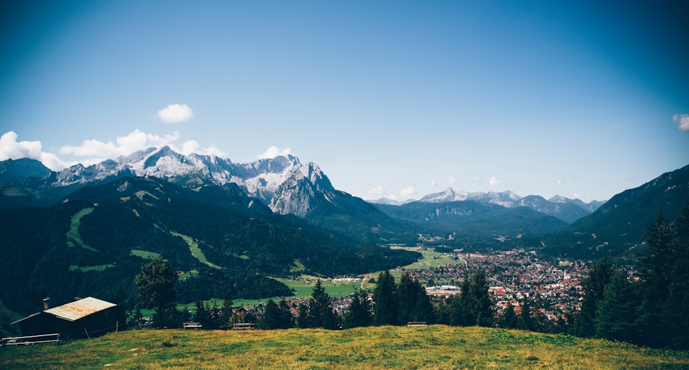 open field with trees near mountain