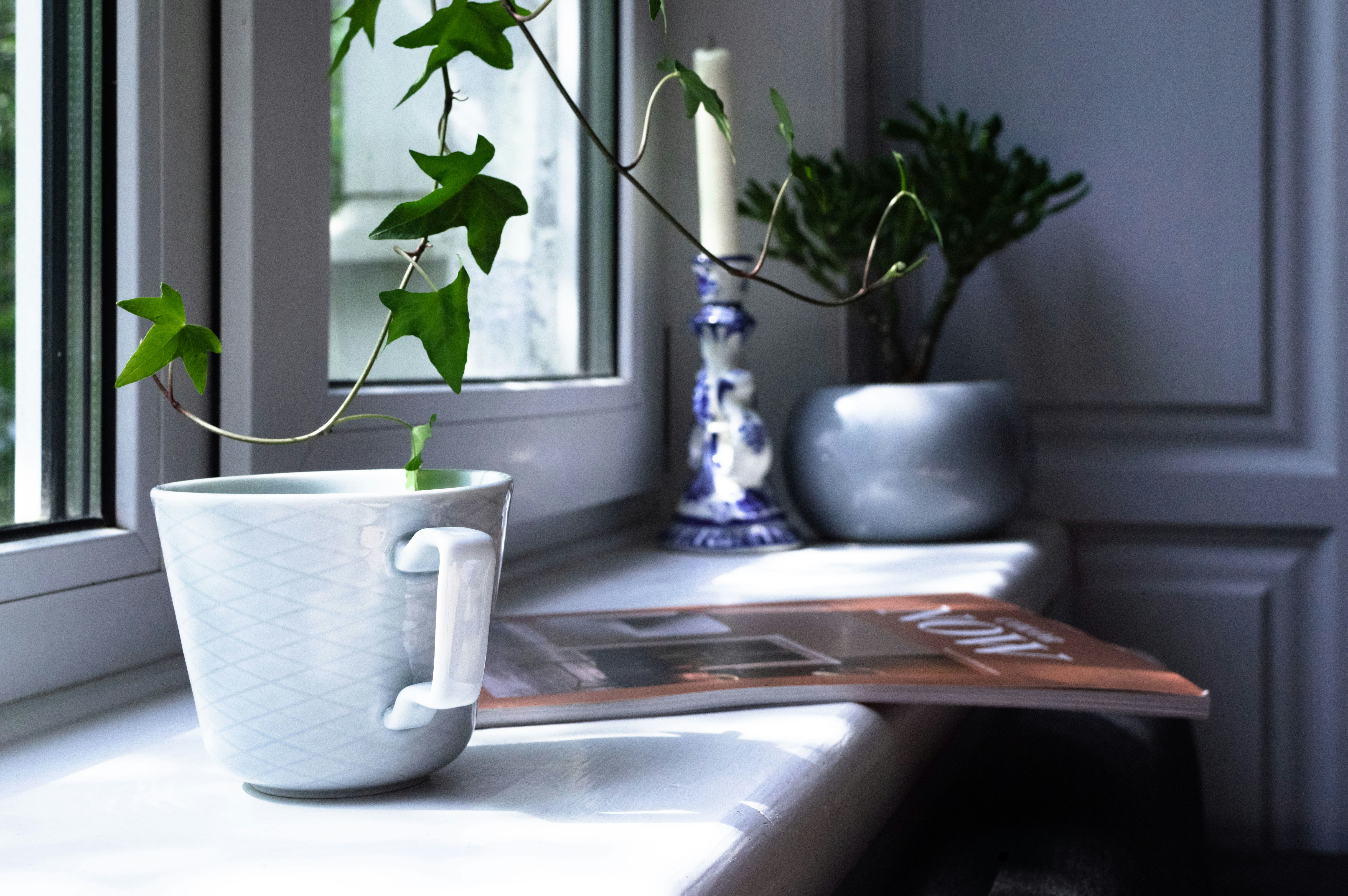 Photo by kosolovo4ka