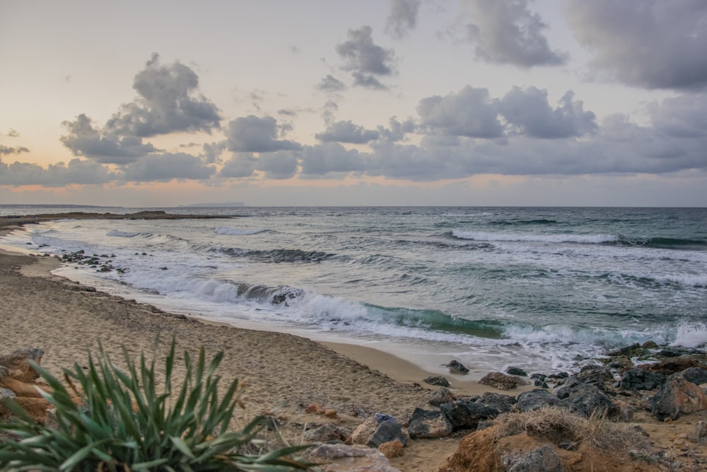 sea waves during daytime