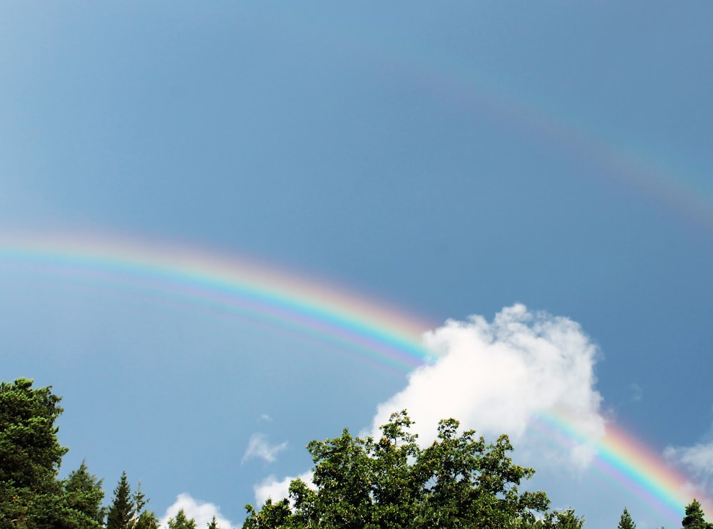 low angle photography of rainbow