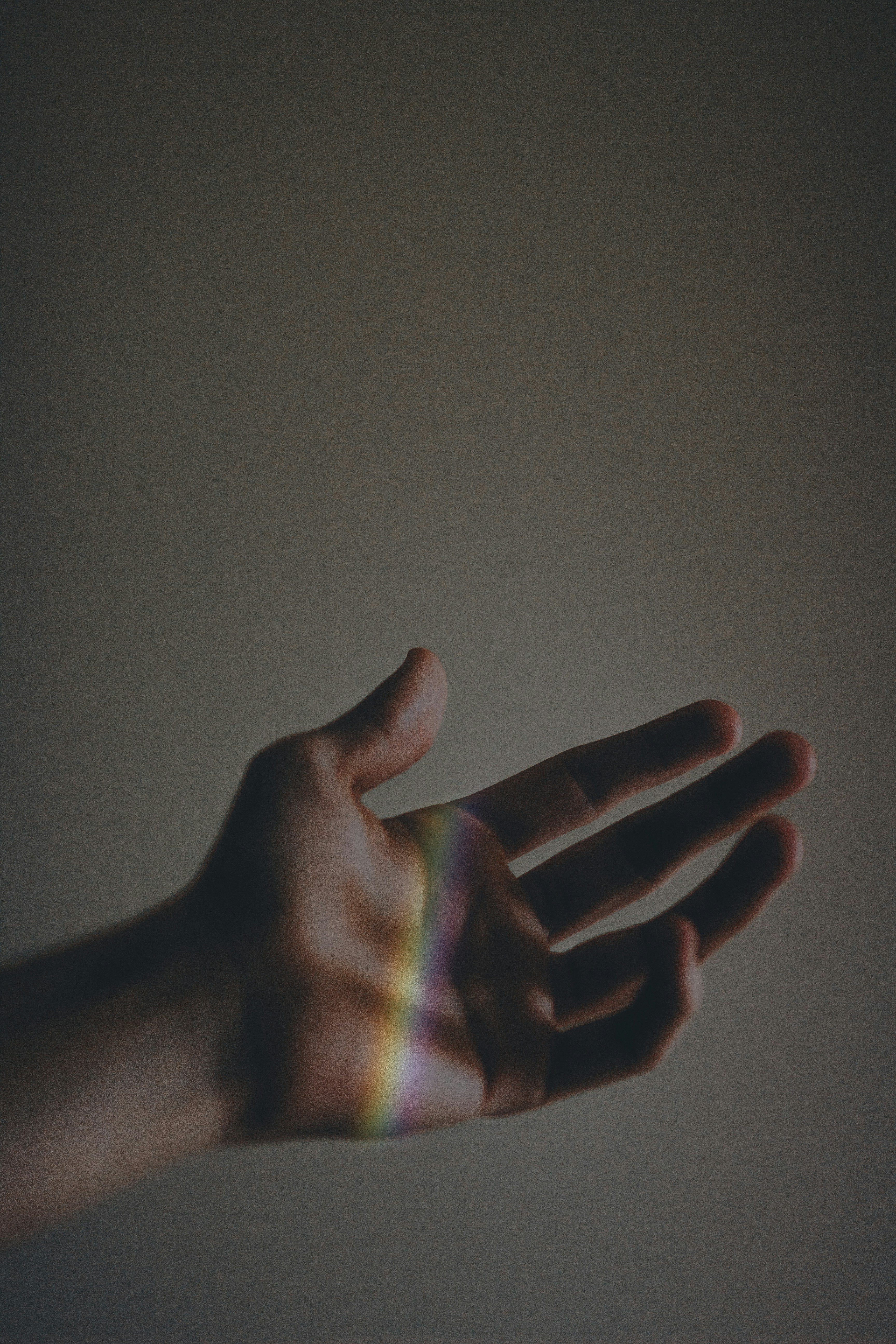 photo-1544707852-77edfc94e7a6?ixid=M3wxMjA3fDB8MXxzZWFyY2h8MTF8fHVmYWJldCUyMCVFMCVCOCU5NyVFMCVCOCVCMiVFMCVCOCU4NyVFMCVCOSU4MCVFMCVCOCU4MiVFMCVCOSU4OSVFMCVCOCVCMnxlbnwwfHx8fDE3NTQ0MDIyMDd8MA\u0026ixlib=rb-4.1.0