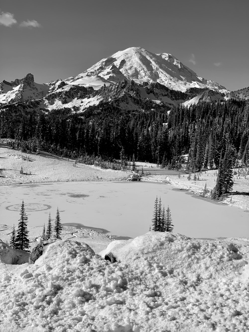 greyscale photo of snow covered mountain with pine trees