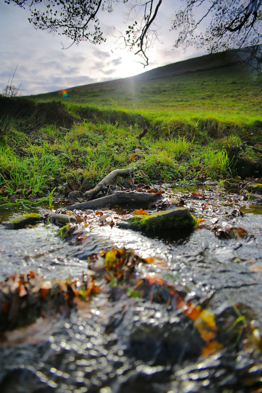 river beside green field during daytime