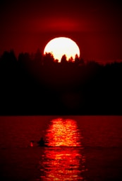 lake near golden hour