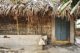 A rustic house is made with natural materials, featuring a thatched roof and walls of woven branches. A blue wooden door with a yellow base stands out against the earth-toned structure. Nearby are metal sheets and an old container, contributing to the rural, traditional setting. Green leaves from nearby trees partially hang in the foreground, adding a touch of nature.