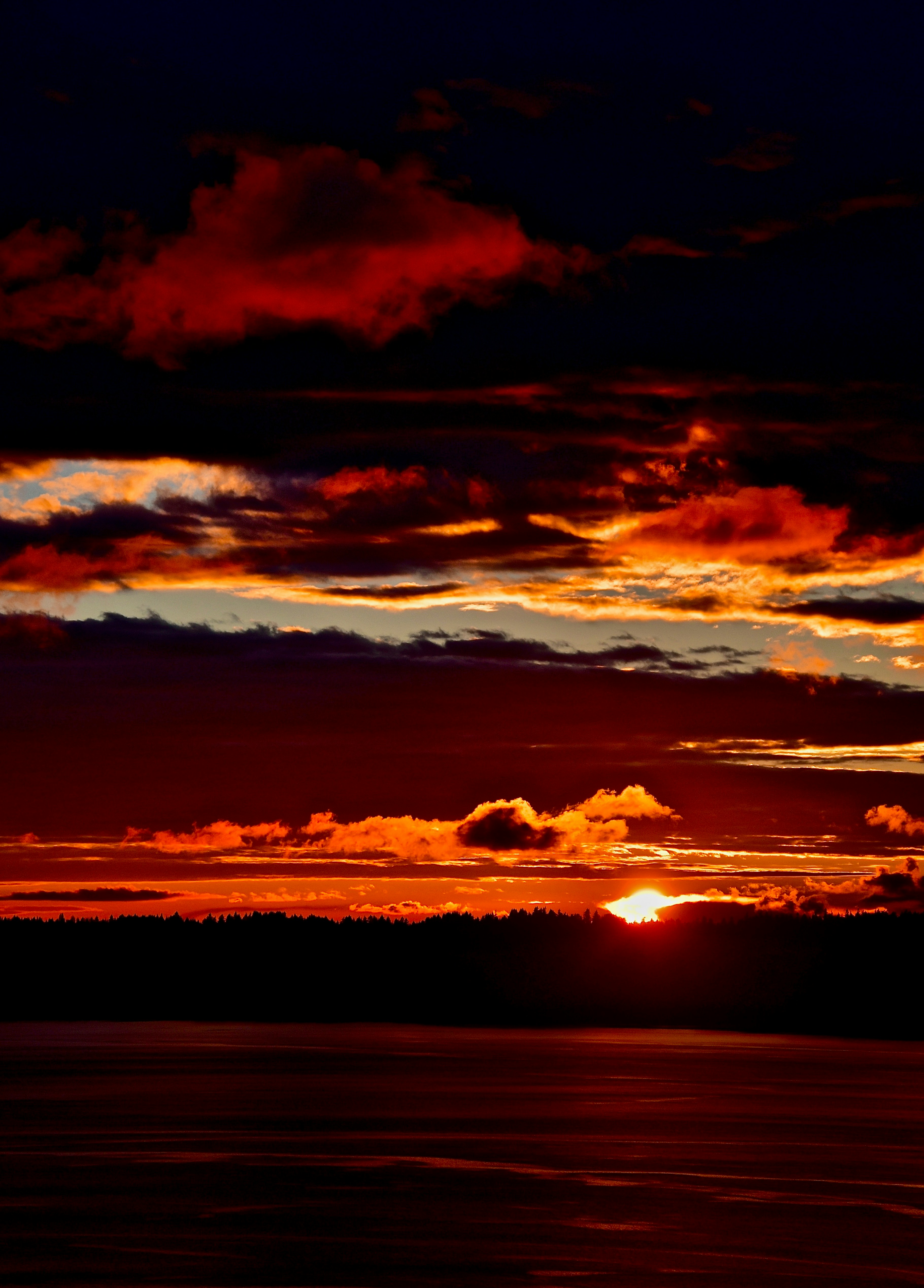 Photo by patrickrobinson