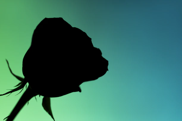 A vibrant phoenix rising with a glowing gradient background symbolizing transformation.