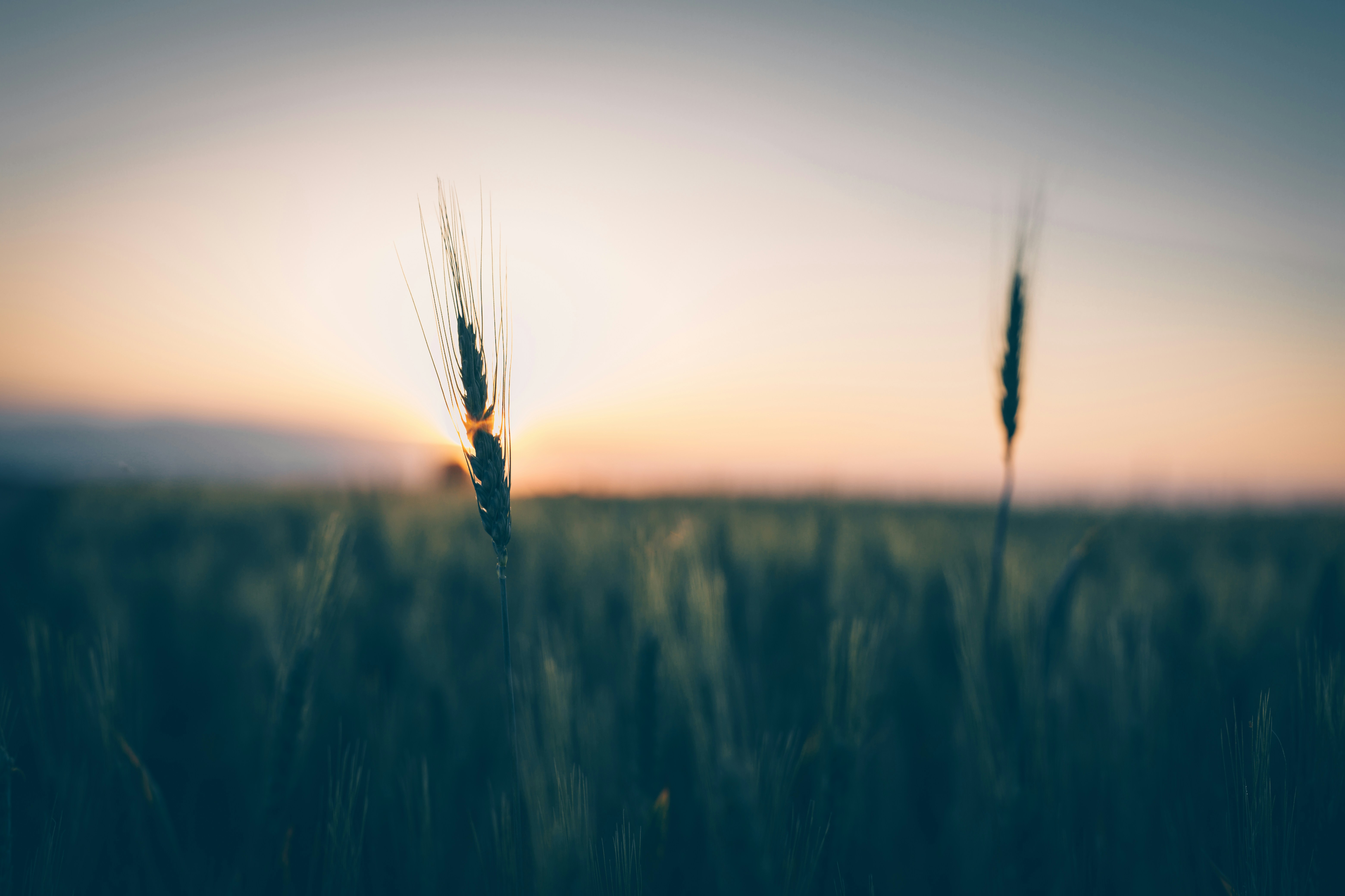 Photo by dumitrasconiudesign