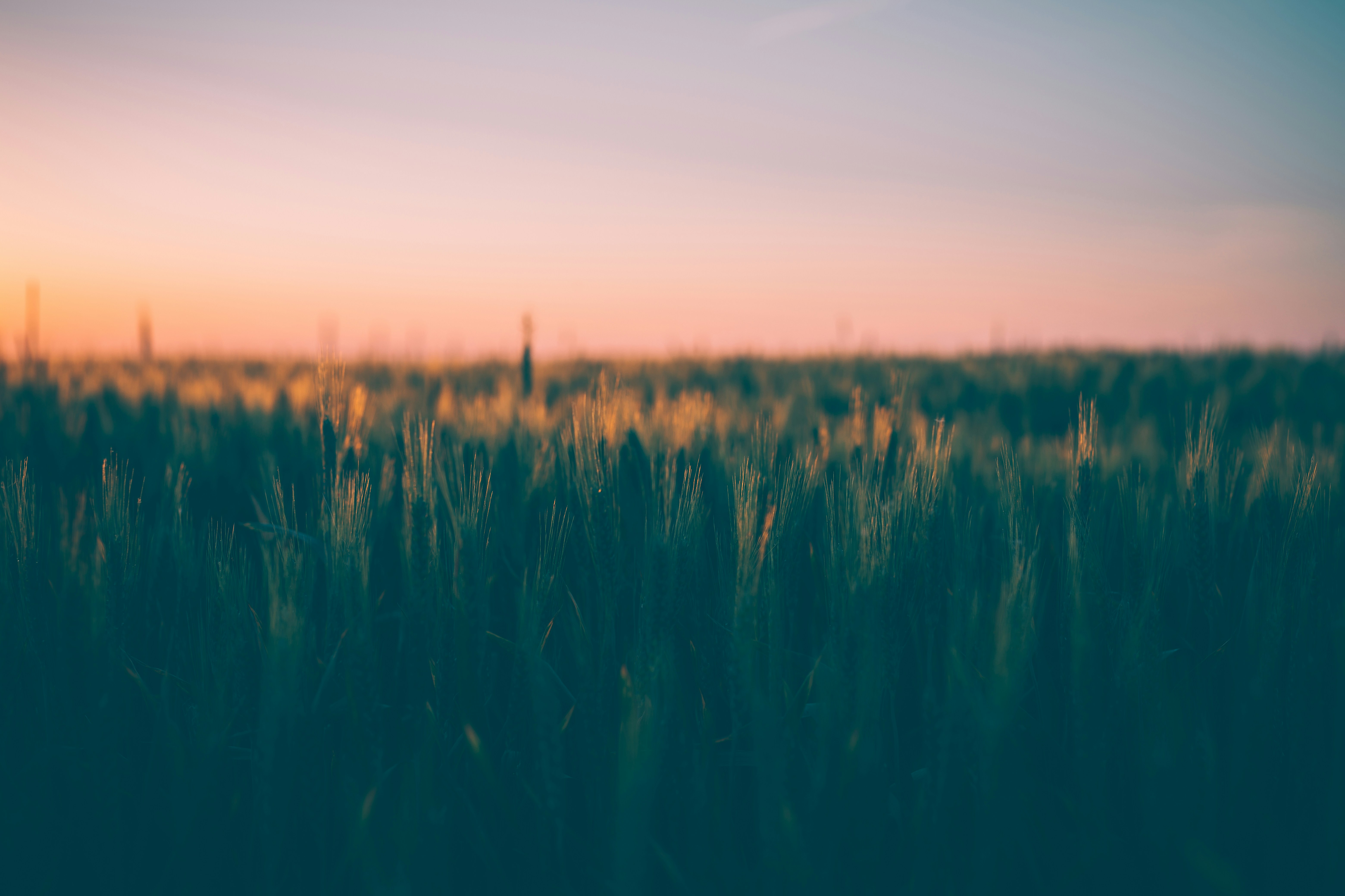 Photo by dumitrasconiudesign