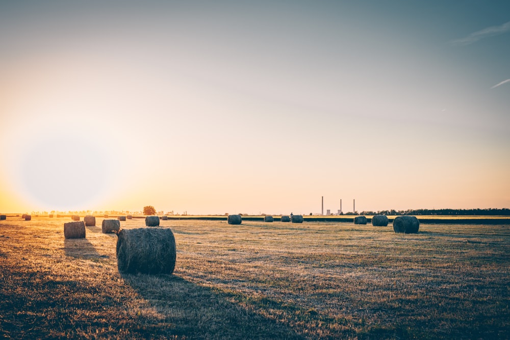 stock hay on the field