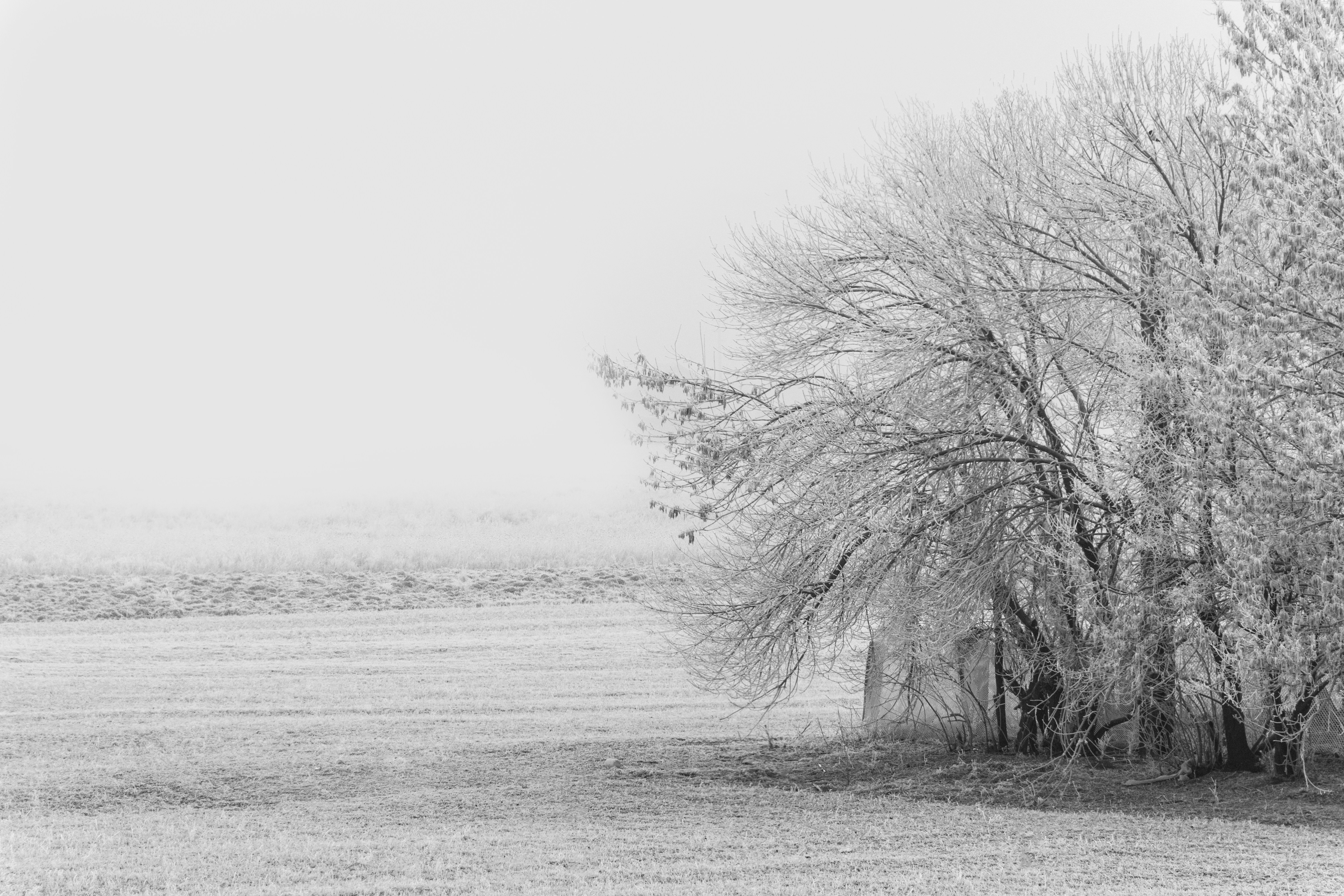 Photo by dumitrasconiudesign