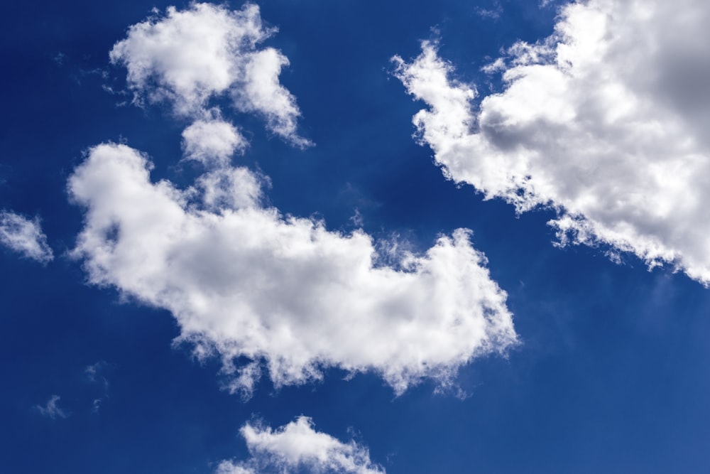 white and blue cloudy sky