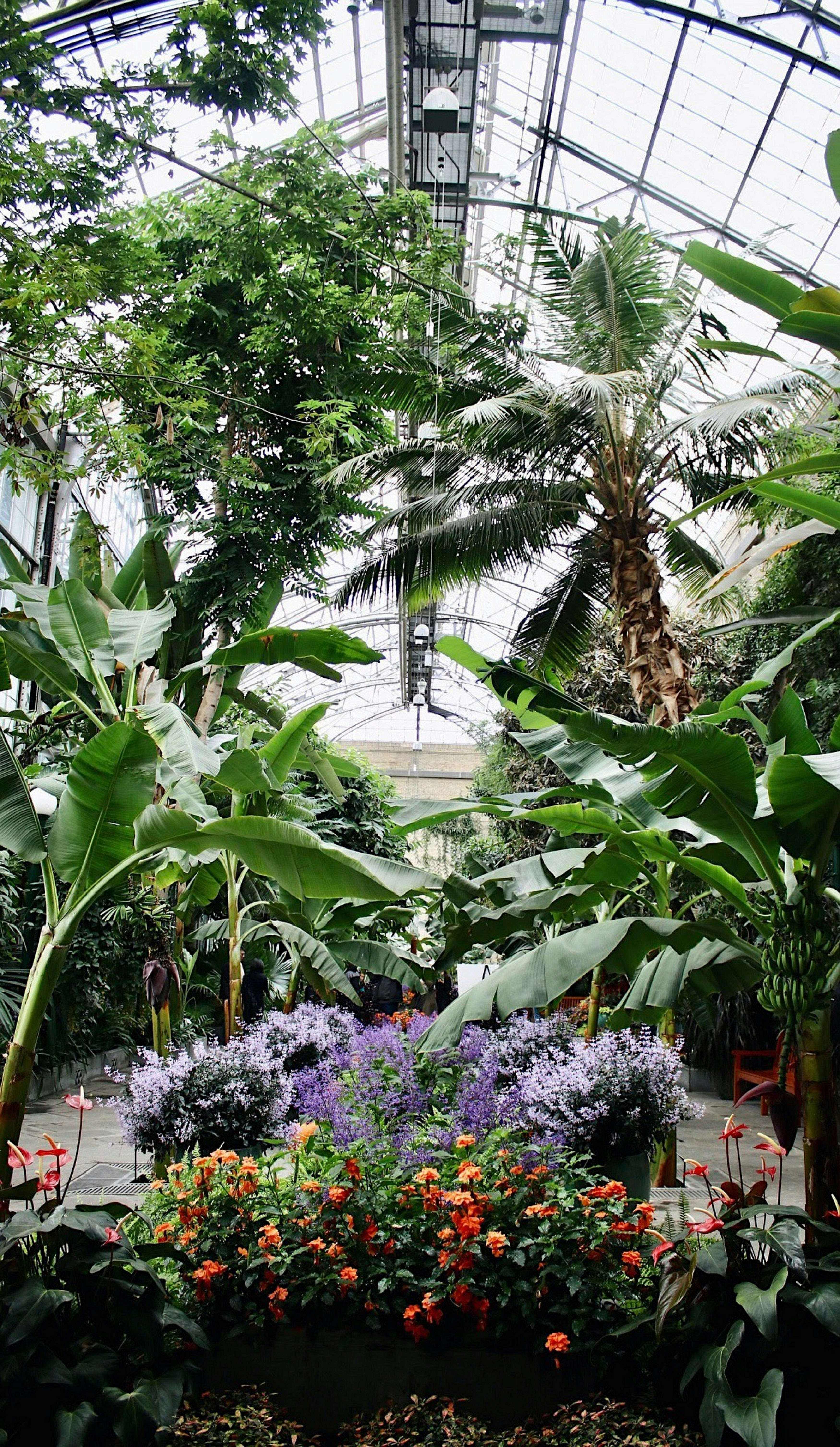 Free United States Botanic Gardens Image On Unsplash