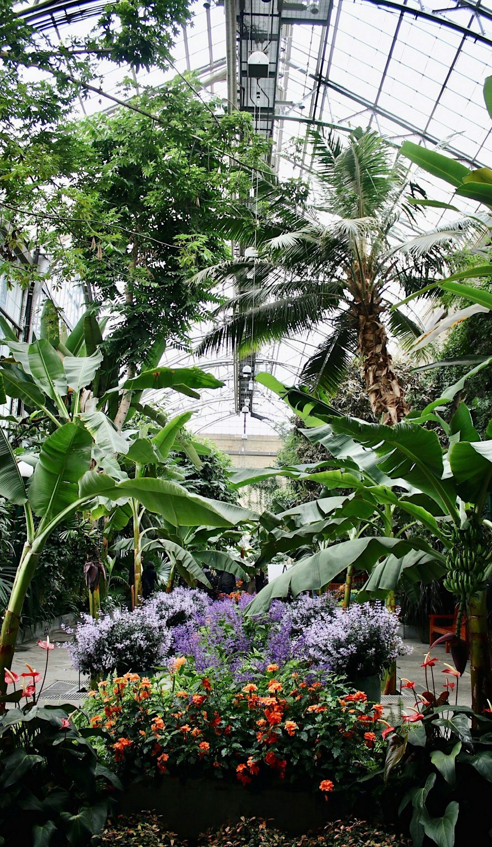 Free United States Botanic Gardens Image On Unsplash