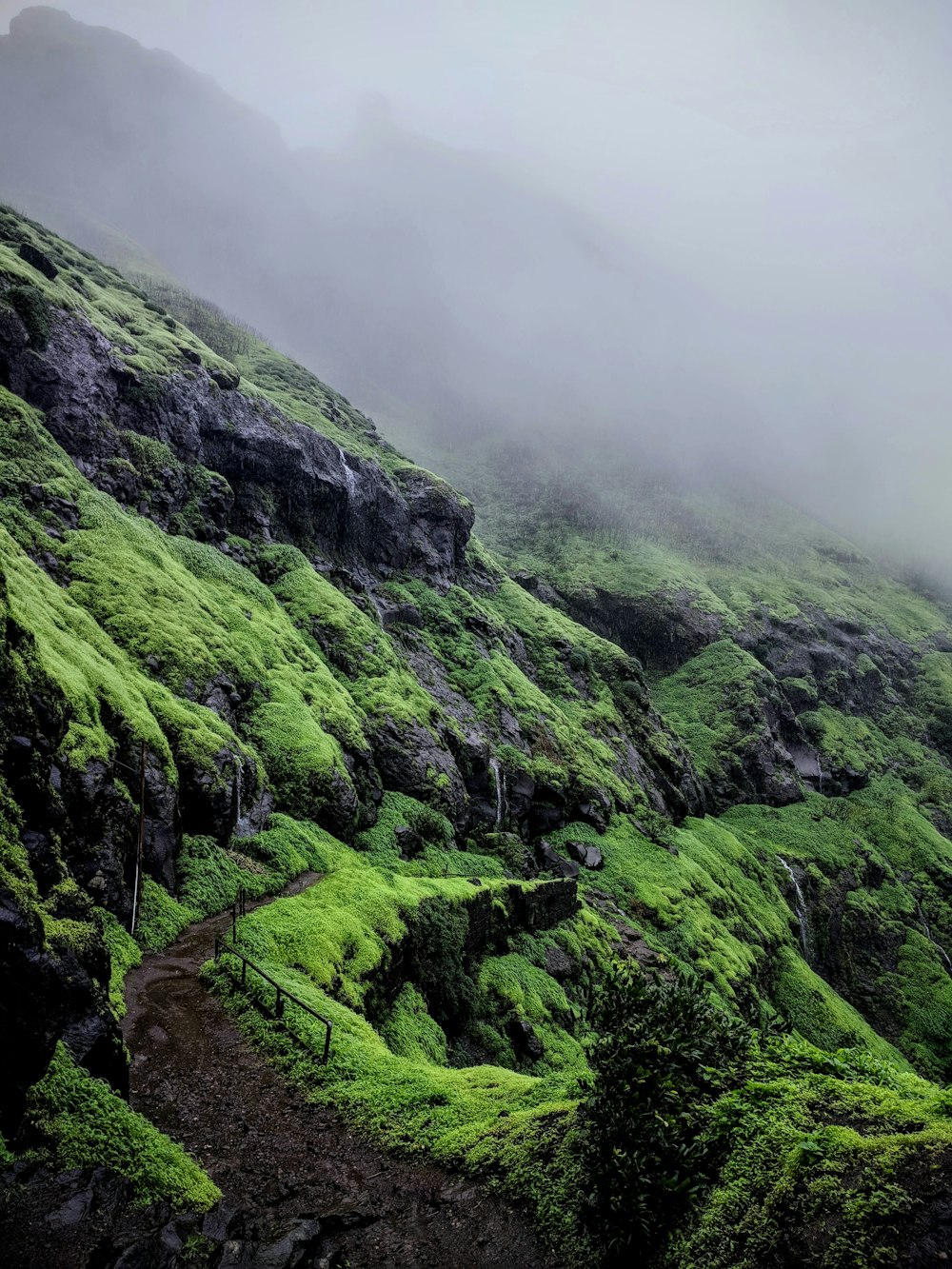 aerial view photography of green grass mountain