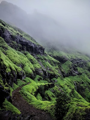 A foggy landscape with lush green moss covering rocky terrain. A narrow path winds through the greenery, and mist envelops the upper part of the scene, creating a mysterious and tranquil atmosphere.