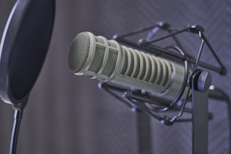 gray condenser microphone with pop filter