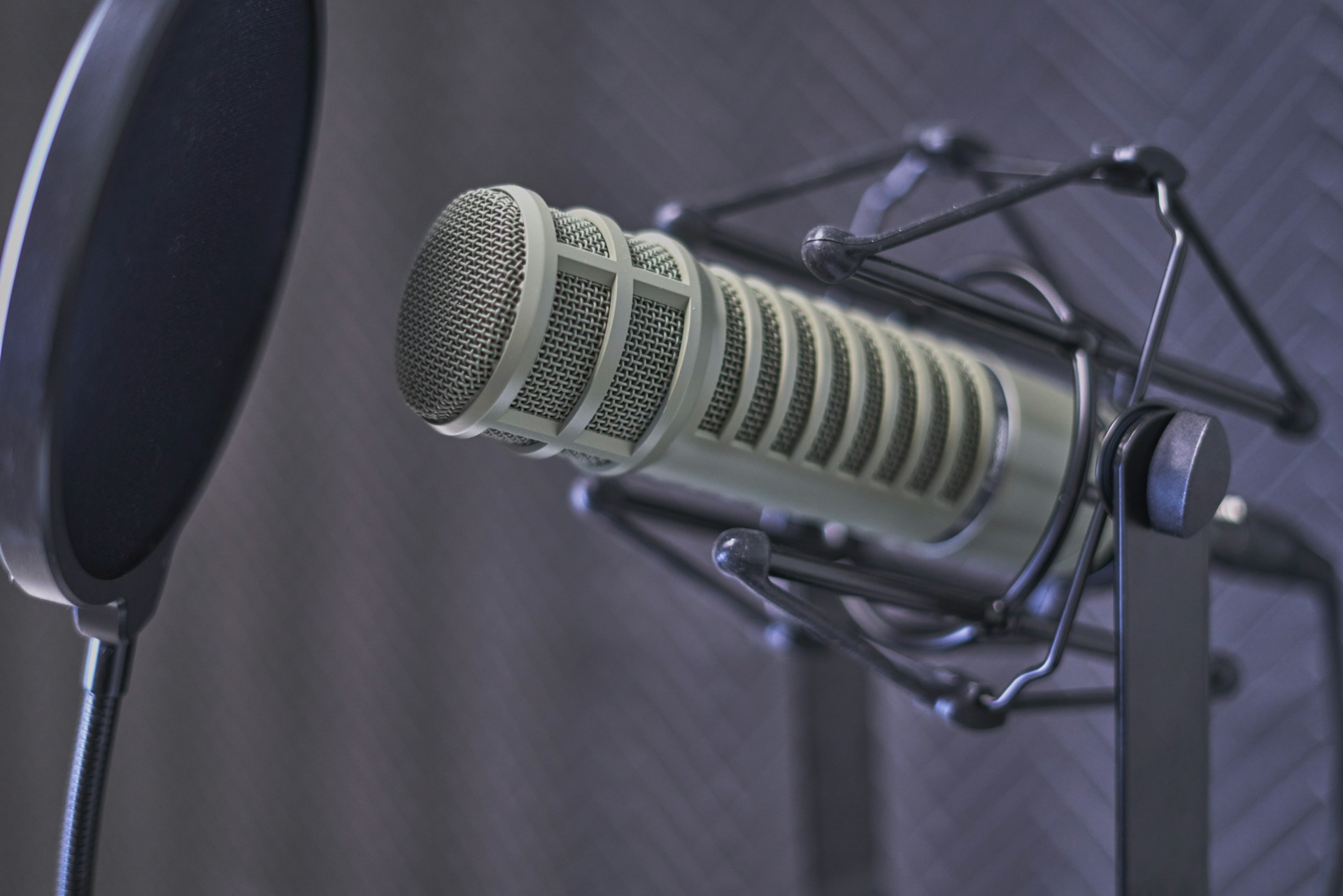 gray condenser microphone with pop filter