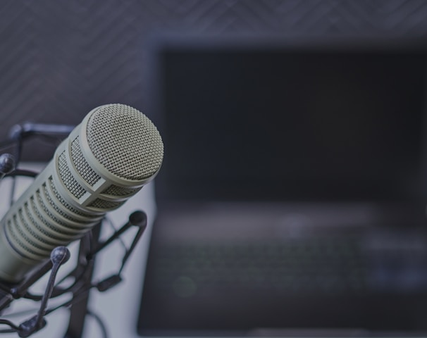 gray condenser microphone near laptop