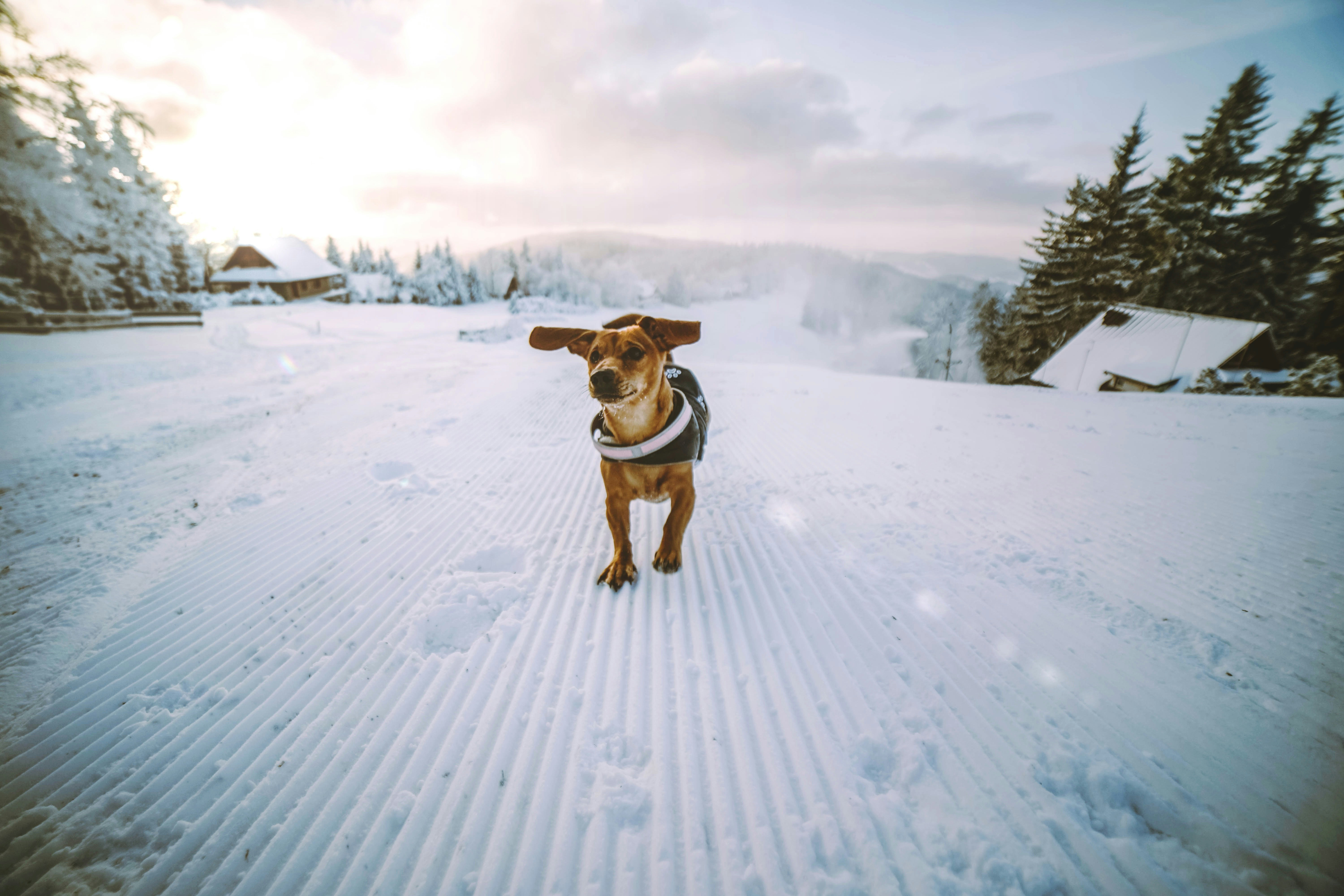 Photo by michaljaneck