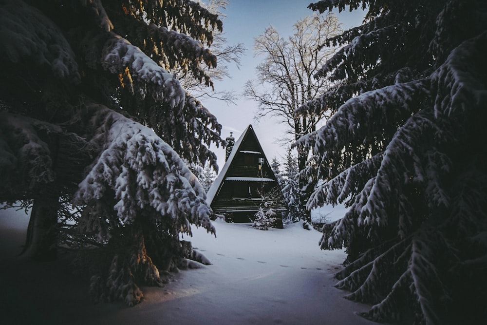 brown house covered by snow