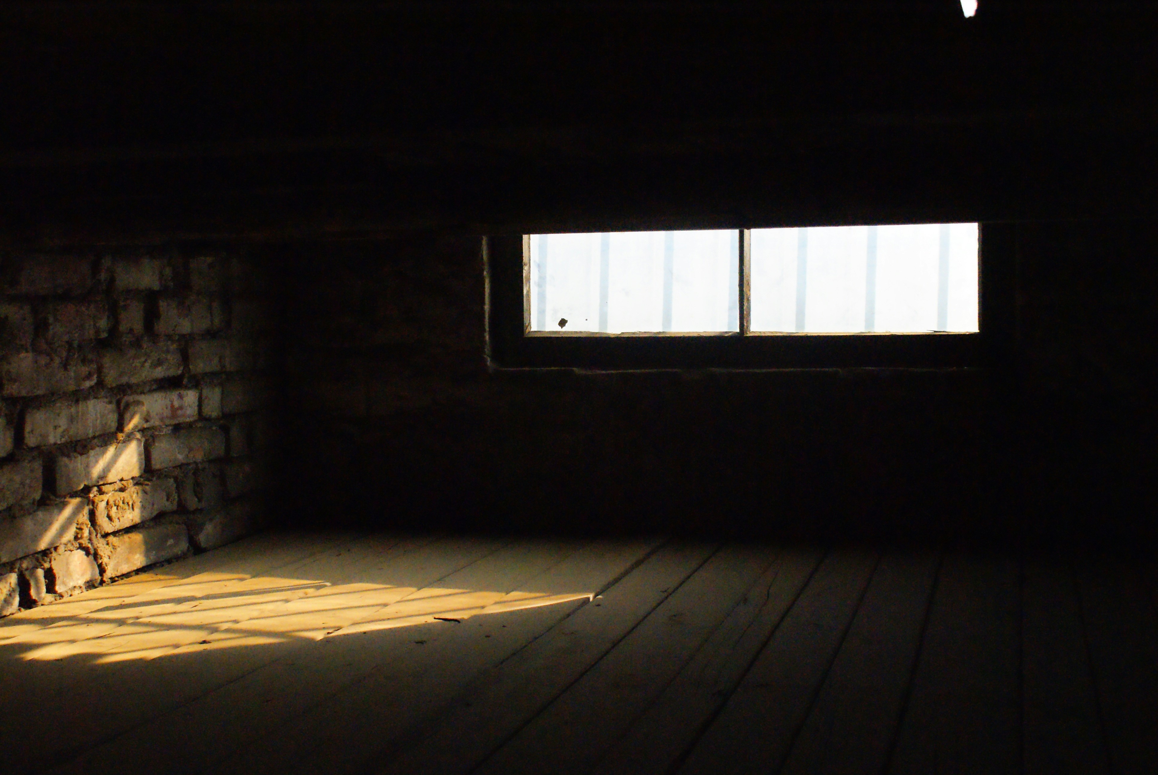 Photo by kelmankuts18