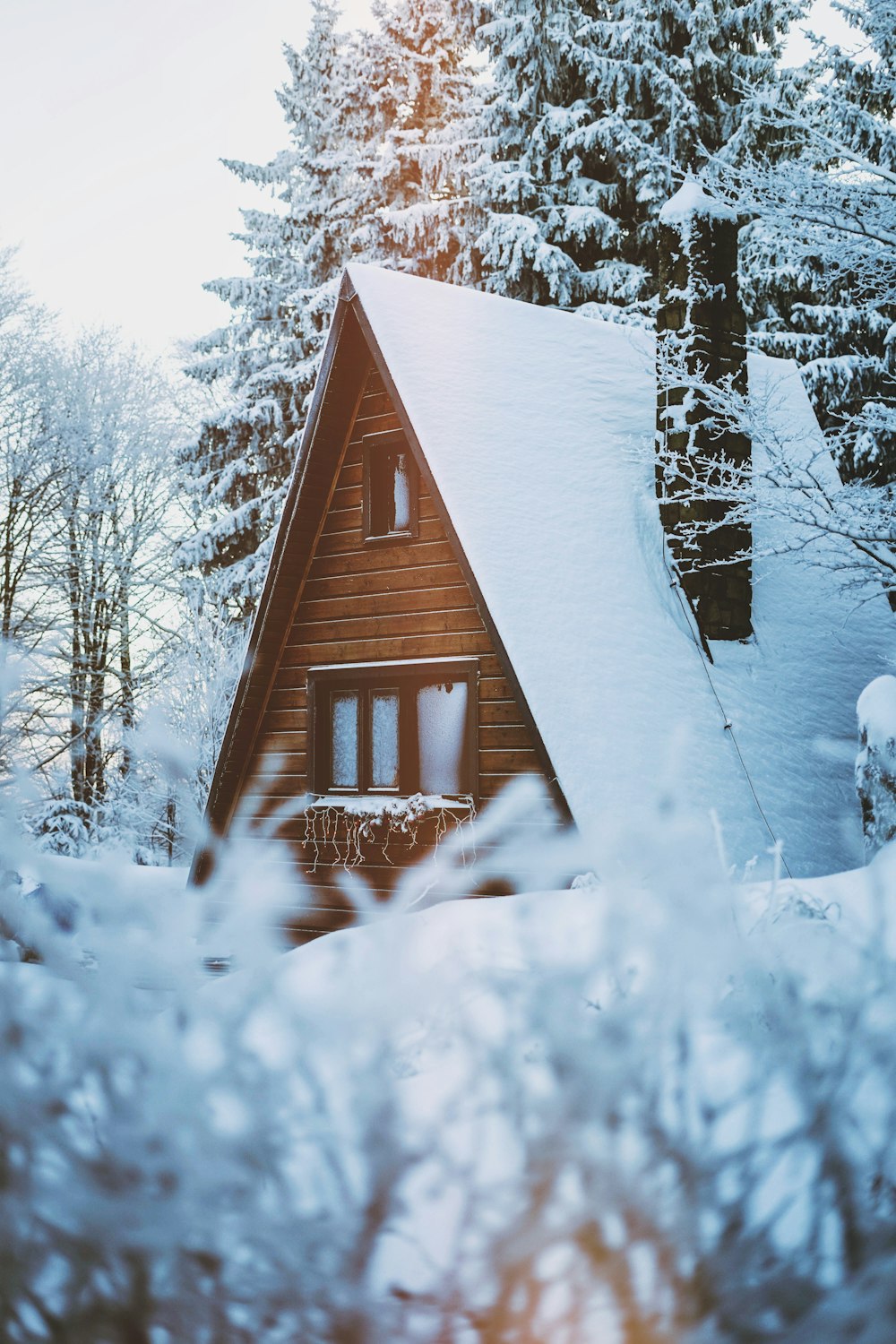 brown wooden house