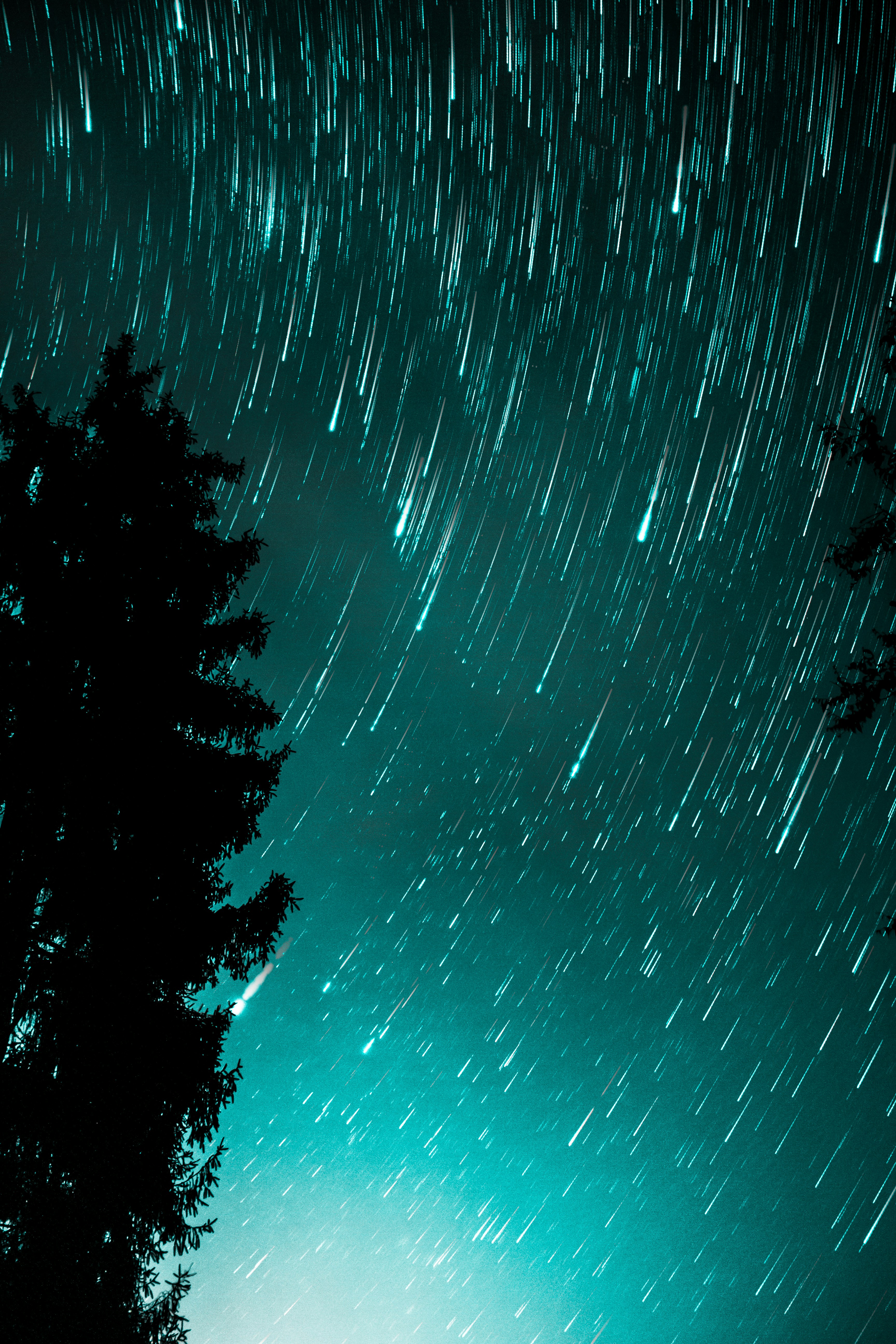 Photo by dale_wentzel