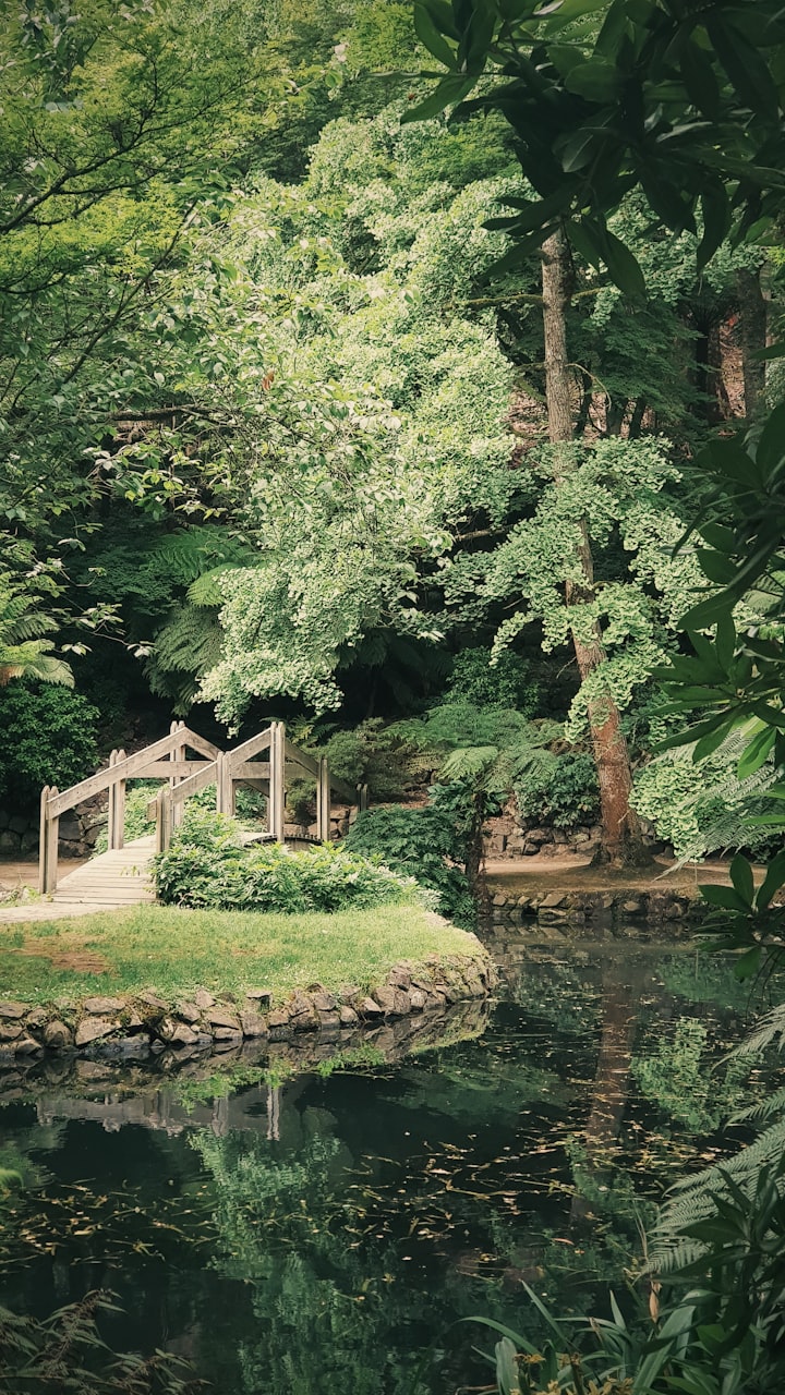 A Marble Garden in China