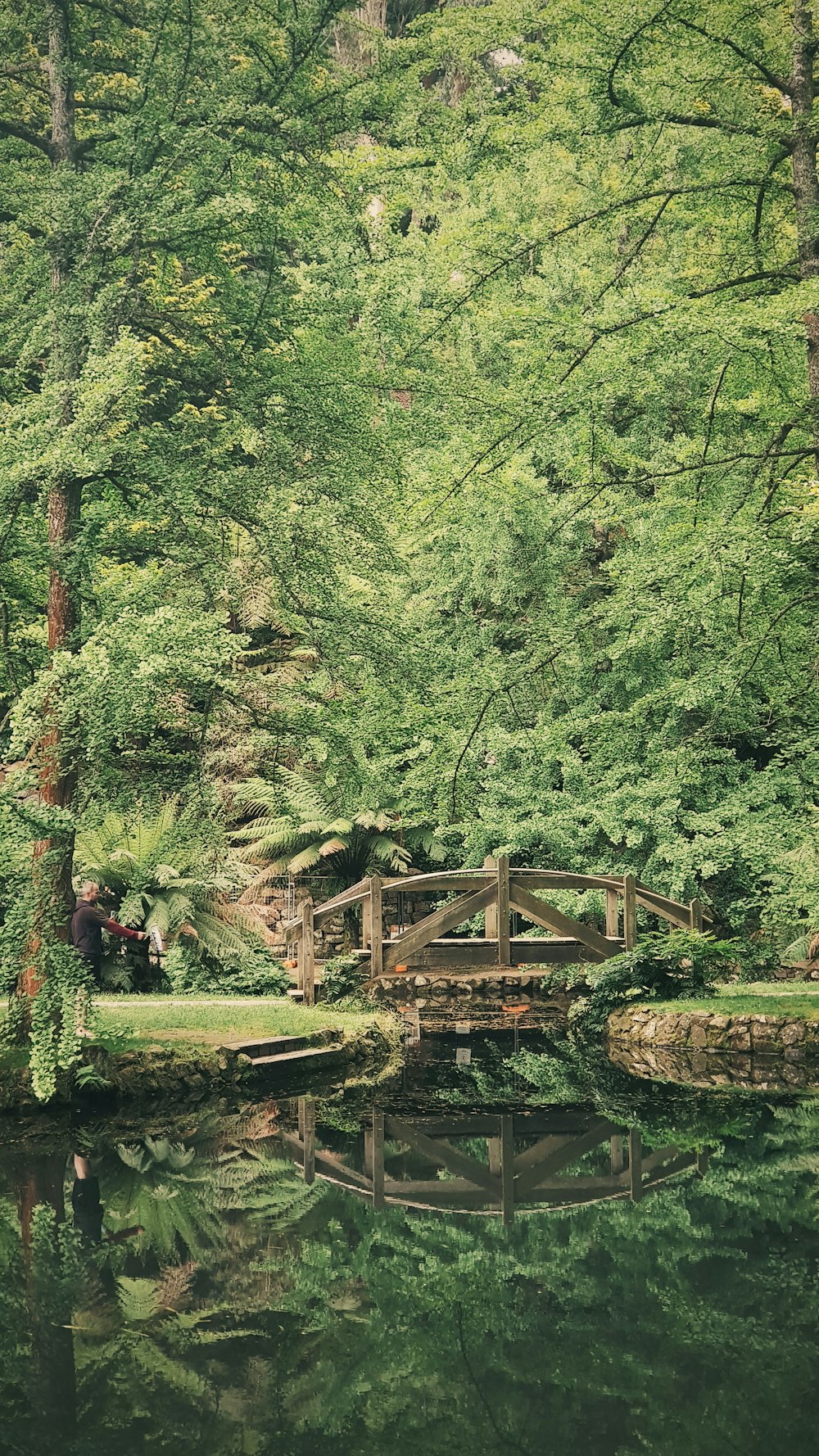 lake under wooden bridge in forest