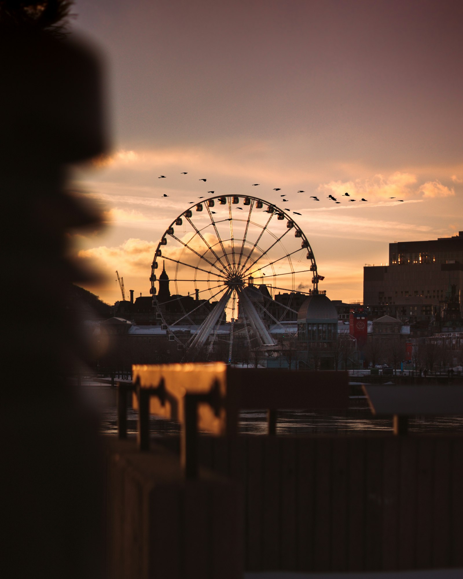 Sony a7S II + Sony FE 50mm F1.8 sample photo. White ferris wheel under photography