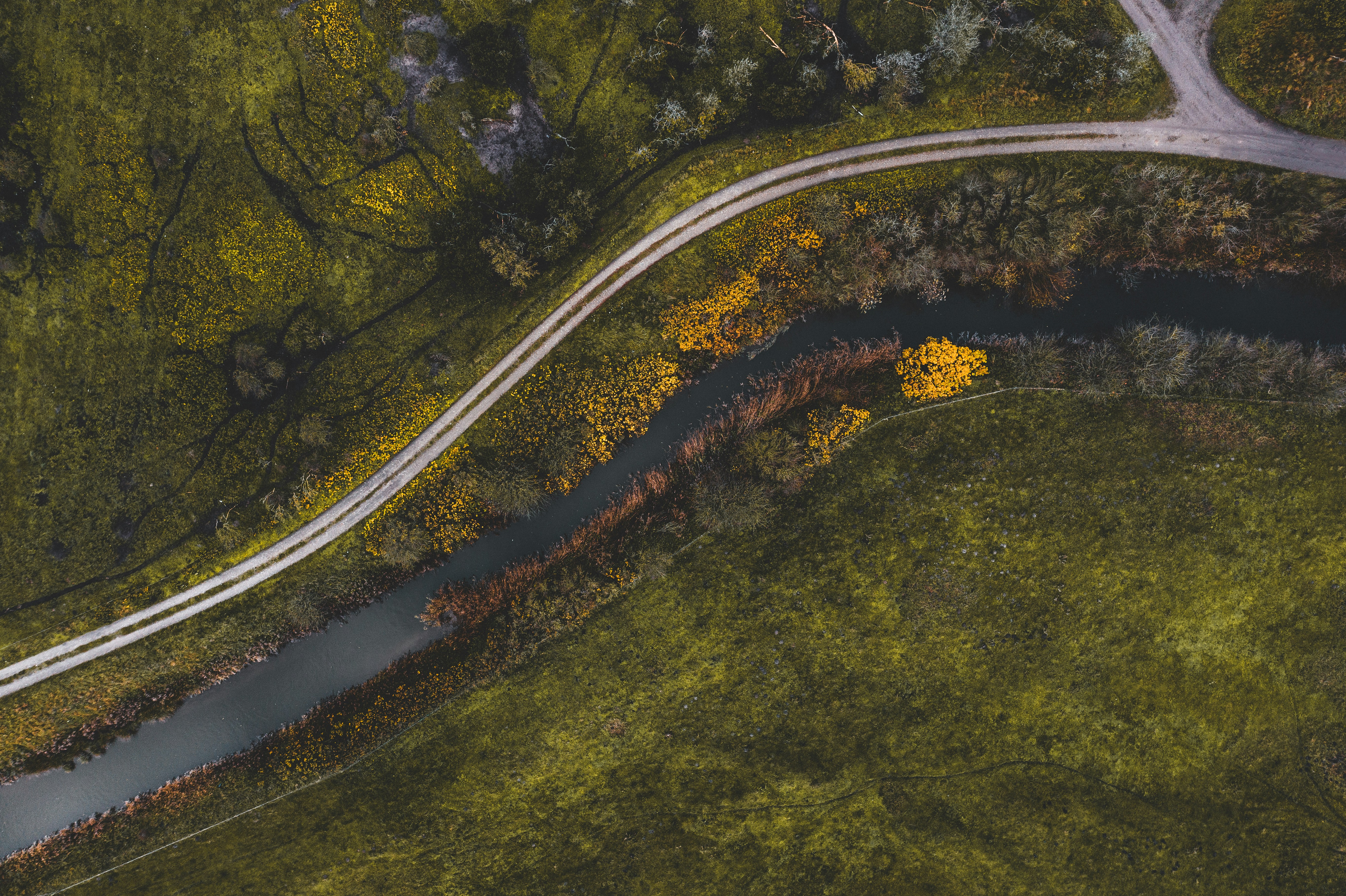 Cascade Half Marathon Race Review