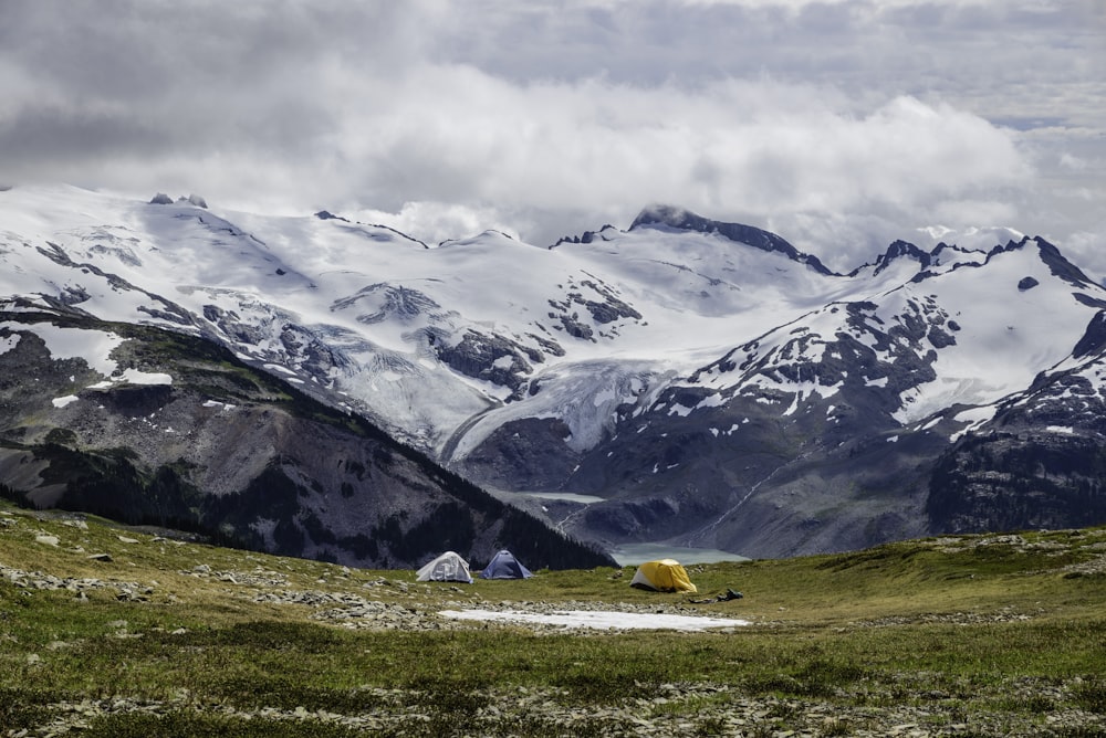 mountain cover with snows