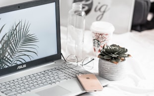 turned-on Asus laptop near eyeglasses, succulent plant, and empty clear glass bottle