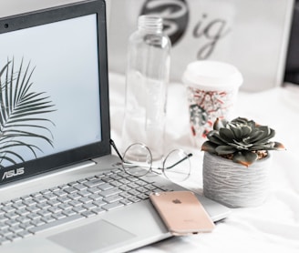 turned-on Asus laptop near eyeglasses, succulent plant, and empty clear glass bottle